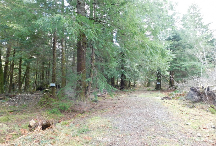 15528 May Creek, Gold Bar, Washington 98251, ,Land,For Sale,SP PFN 19-100722,May Creek,NWM1874243