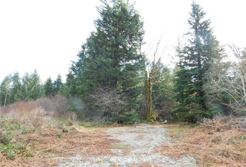 15528 May Creek, Gold Bar, Washington 98251, ,Land,For Sale,SP PFN 19-100722,May Creek,NWM1874243
