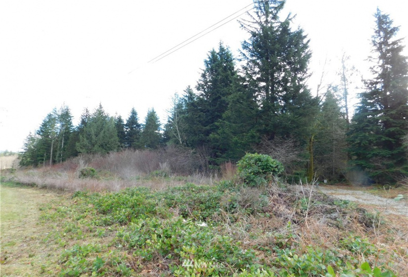 15528 May Creek, Gold Bar, Washington 98251, ,Land,For Sale,SP PFN 19-100722,May Creek,NWM1874243