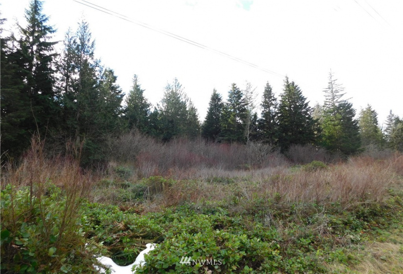 15528 May Creek, Gold Bar, Washington 98251, ,Land,For Sale,SP PFN 19-100722,May Creek,NWM1874243