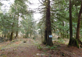 15528 May Creek, Gold Bar, Washington 98251, ,Land,For Sale,SP PFN 19-100722,May Creek,NWM1874243