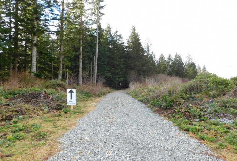 15528 May Creek, Gold Bar, Washington 98251, ,Land,For Sale,SP PFN 19-100722,May Creek,NWM1874243