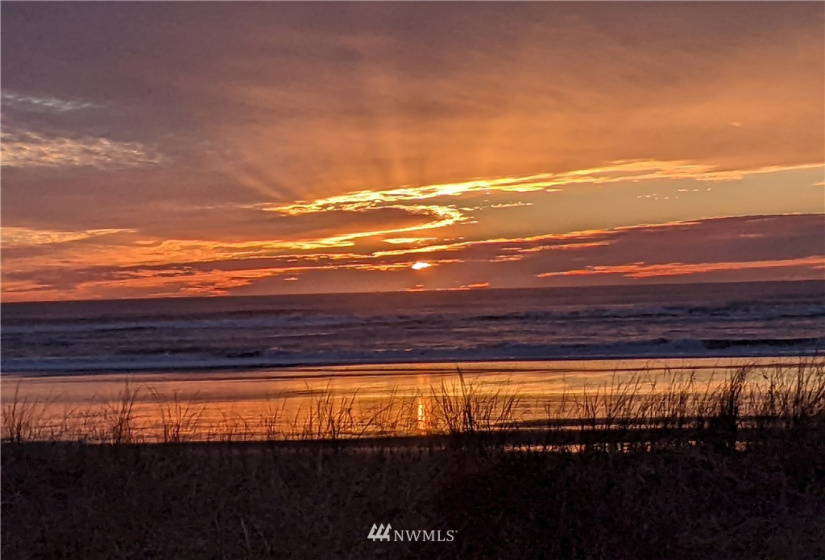 1600 Ocean, Westport, Washington 98595, 1 Bedroom Bedrooms, ,1 BathroomBathrooms,Residential,For Sale,Westport by the Sea, Phase 1 & 2,Ocean,NWM1874303