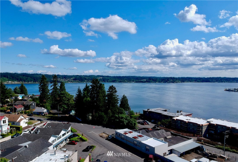 1101 Pitt, Bremerton, Washington 98310, ,Residential Income,For Sale,Pitt,NWM1867916