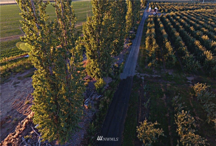 14602 10.5, Royal City, Washington 99357, 4 Bedrooms Bedrooms, ,1 BathroomBathrooms,Farm,For Sale,10.5,NWM1874146
