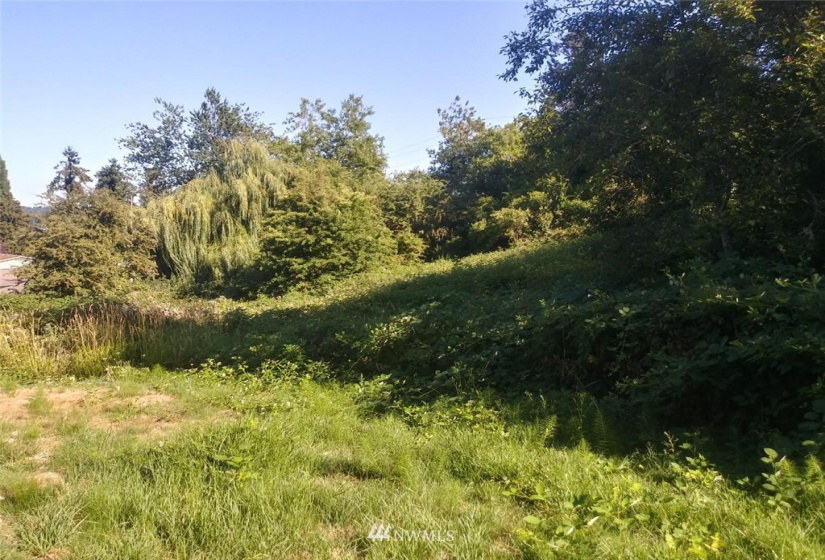 9187 Silverdale Loop, Silverdale, Washington 98383, ,Land,For Sale,Silverdale Loop,NWM1874557