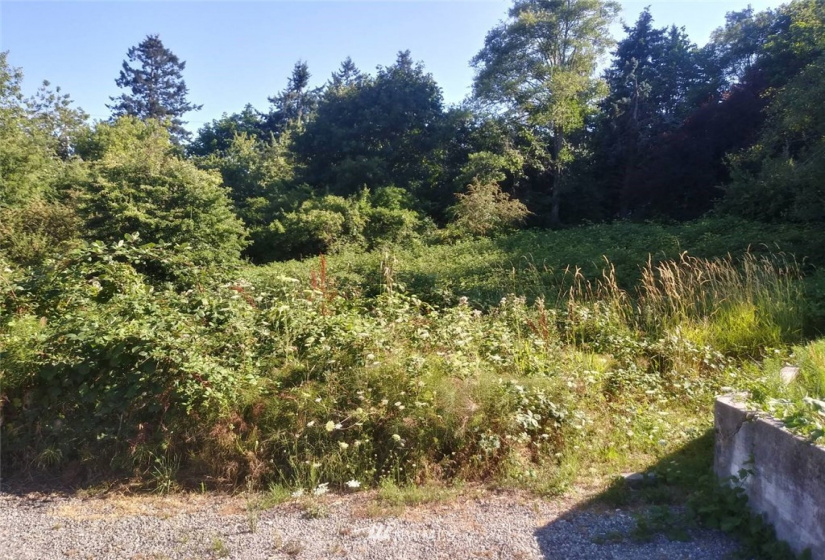 9187 Silverdale Loop, Silverdale, Washington 98383, ,Land,For Sale,Silverdale Loop,NWM1874557