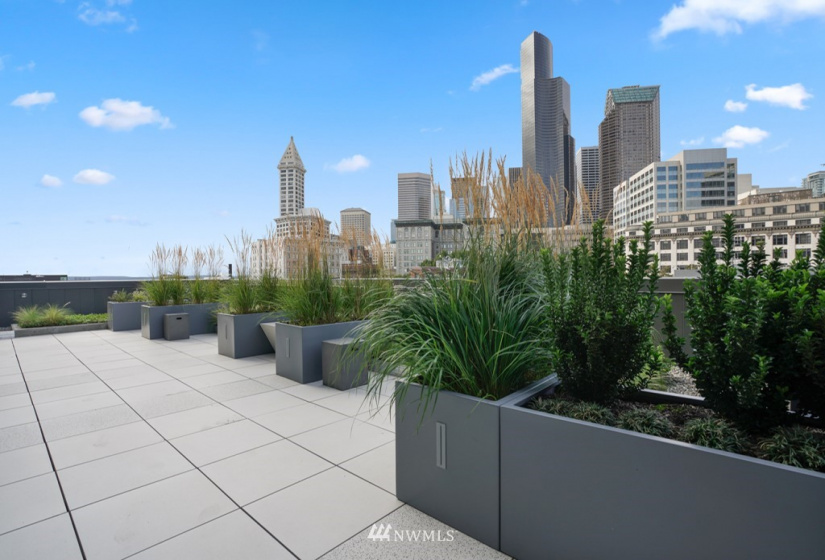 450 Main, Seattle, Washington 98104, ,1 BathroomBathrooms,Residential Lease,For Rent,KODA,Main,NWM1874469