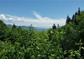 0 Fourth, Ilwaco, Washington 98624, ,Land,For Sale,Ilwaco,Fourth,NWM1874174