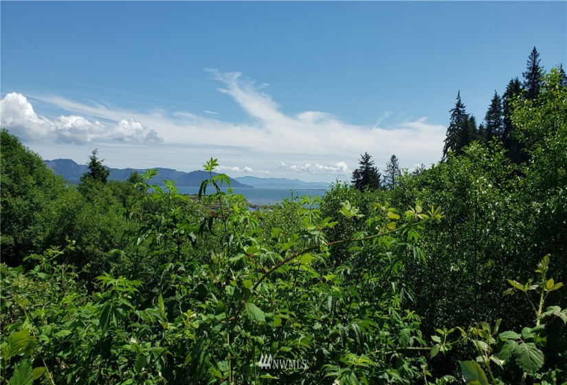 0 Fourth, Ilwaco, Washington 98624, ,Land,For Sale,Ilwaco,Fourth,NWM1874174