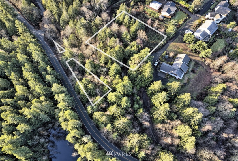 999 Spruce, Union, Washington 98592, ,Land,For Sale,Union-Grays Harbor Add,Spruce,NWM1873640