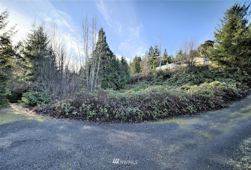 999 Spruce, Union, Washington 98592, ,Land,For Sale,Union-Grays Harbor Add,Spruce,NWM1873640