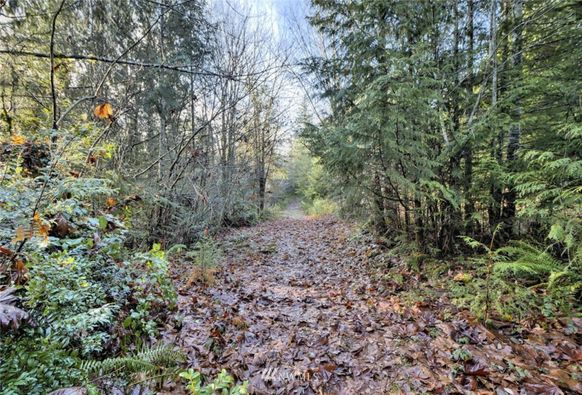 999 Spruce, Union, Washington 98592, ,Land,For Sale,Union-Grays Harbor Add,Spruce,NWM1873640