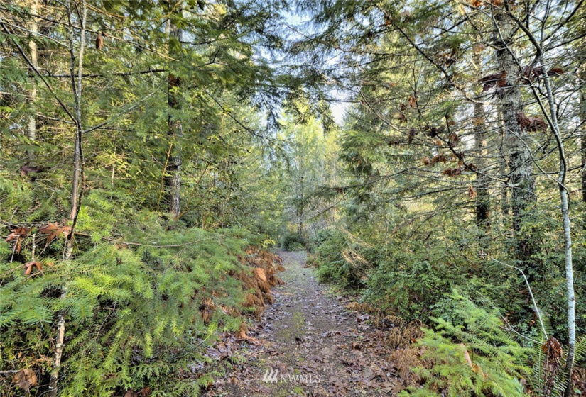 999 Spruce, Union, Washington 98592, ,Land,For Sale,Union-Grays Harbor Add,Spruce,NWM1873640