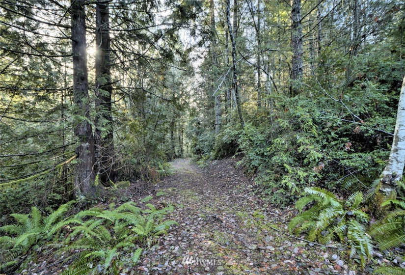 999 Spruce, Union, Washington 98592, ,Land,For Sale,Union-Grays Harbor Add,Spruce,NWM1873640