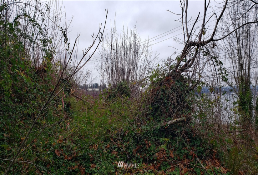 20 XX Beach, Port Orchard, Washington 98366, ,Land,For Sale,Beach,NWM1874069