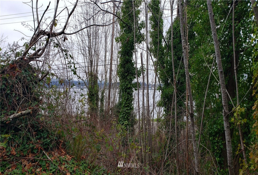 20 XX Beach, Port Orchard, Washington 98366, ,Land,For Sale,Beach,NWM1874069