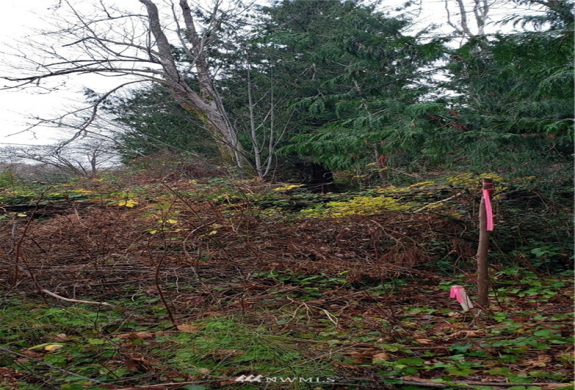 20 XX Beach, Port Orchard, Washington 98366, ,Land,For Sale,Beach,NWM1874069