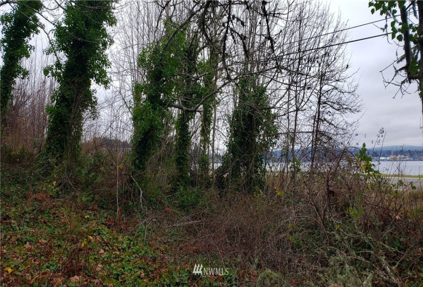 20 XX Beach, Port Orchard, Washington 98366, ,Land,For Sale,Beach,NWM1874069