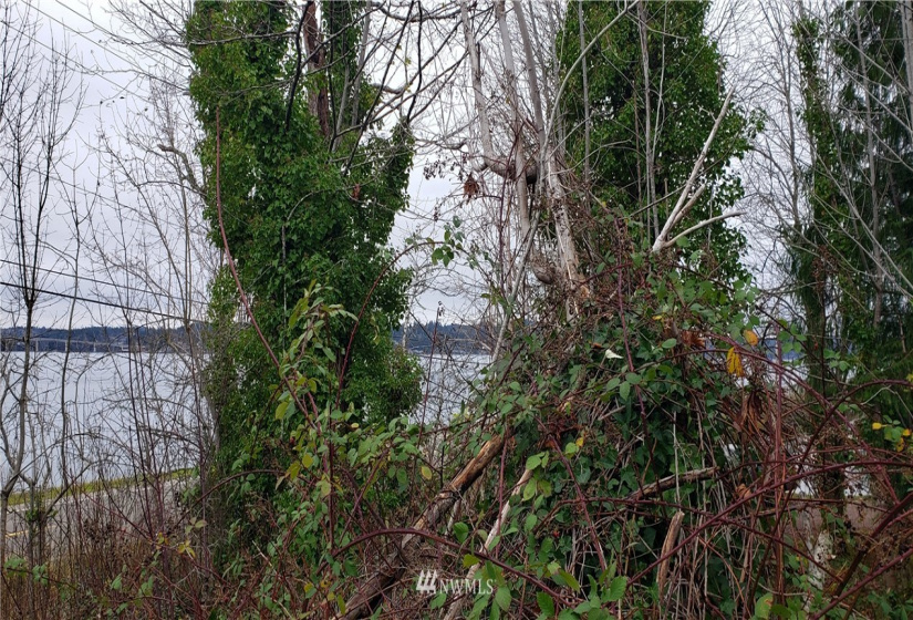 20 XX Beach, Port Orchard, Washington 98366, ,Land,For Sale,Beach,NWM1874069