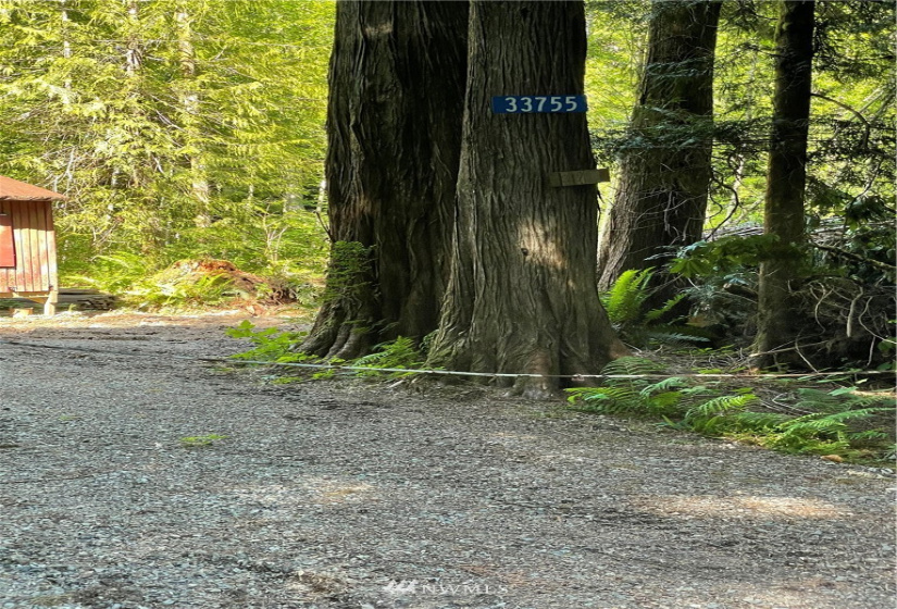 33755 North Shore, Mount Vernon, Washington 98273, ,Residential,For Sale,Lk Cavenaugh sub div `,North Shore,NWM1874629
