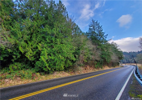 351 Coal Creek, Chehalis, Washington 98532, ,Land,For Sale,Coal Creek,NWM1874708
