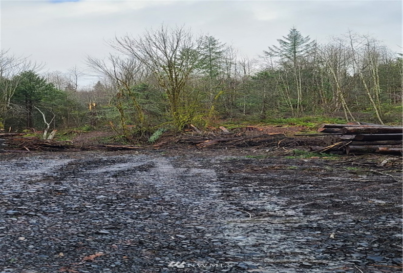 351 Coal Creek, Chehalis, Washington 98532, ,Land,For Sale,Coal Creek,NWM1874708