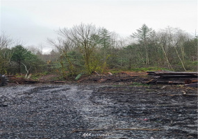 341 Coal Creek, Chehalis, Washington 98532, ,Land,For Sale,Coal Creek,NWM1874707