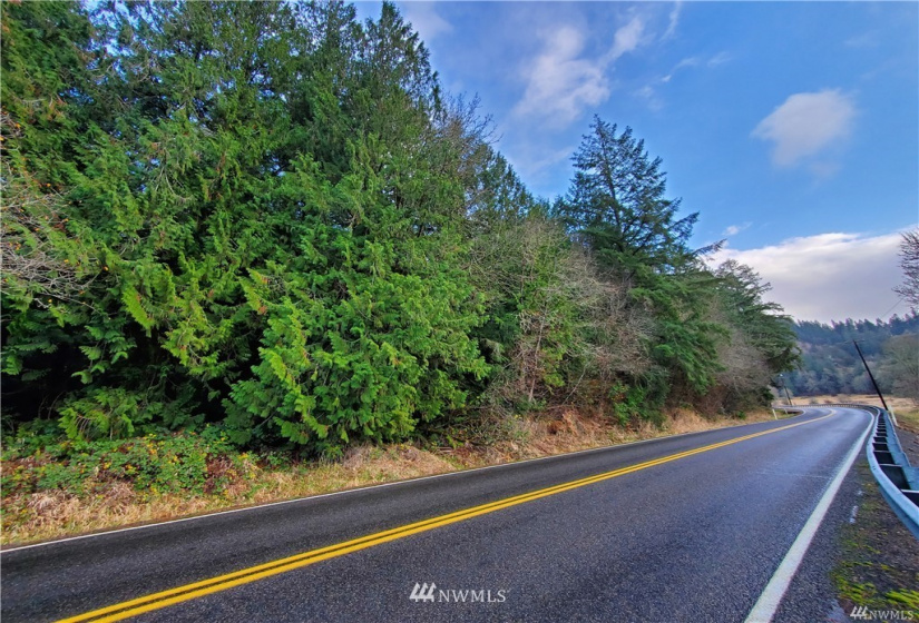 341 Coal Creek, Chehalis, Washington 98532, ,Land,For Sale,Coal Creek,NWM1874707