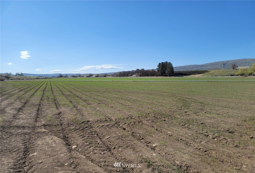 111 XX Morrison, Ellensburg, Washington 98926, ,Land,For Sale,Morrison,NWM1874840