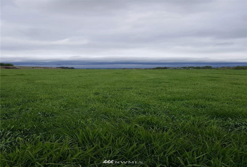 10711 XX Upper Badger Pocket, Ellensburg, Washington 98926, ,Land,For Sale,Upper Badger Pocket,NWM1874858
