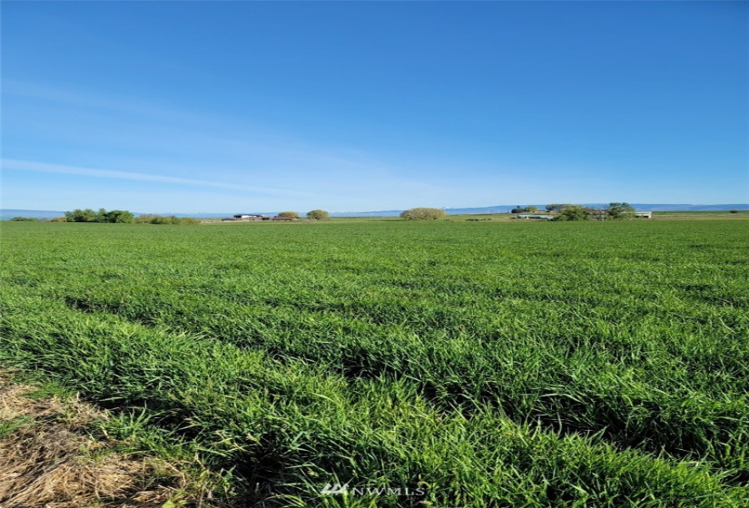 10711 XX Upper Badger Pocket, Ellensburg, Washington 98926, ,Land,For Sale,Upper Badger Pocket,NWM1874858