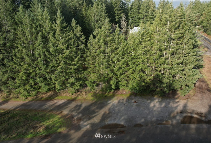 17007 State Route 302, Gig Harbor, Washington 98329, ,Land,For Sale,State Route 302,NWM1874863