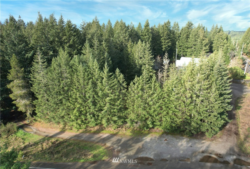17007 State Route 302, Gig Harbor, Washington 98329, ,Land,For Sale,State Route 302,NWM1874863