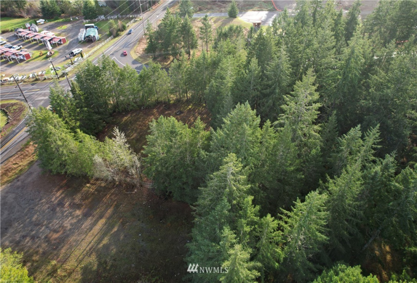 17007 State Route 302, Gig Harbor, Washington 98329, ,Land,For Sale,State Route 302,NWM1874863