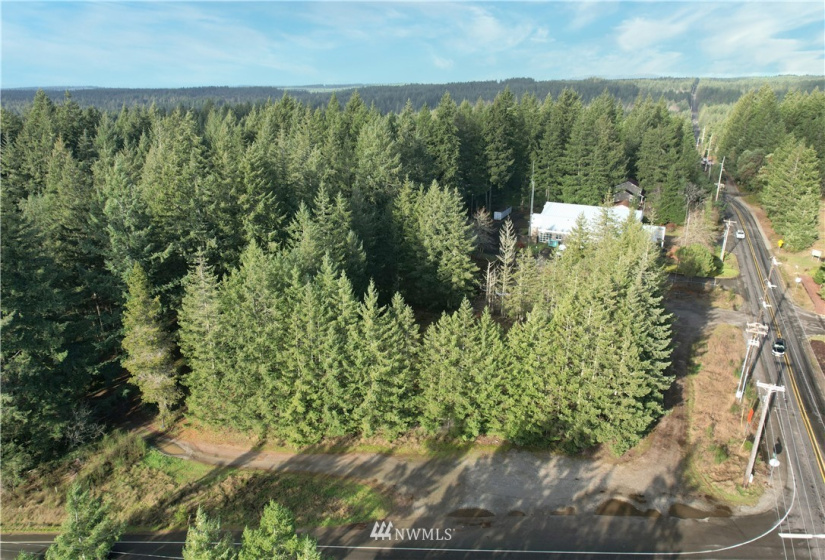 17007 State Route 302, Gig Harbor, Washington 98329, ,Land,For Sale,State Route 302,NWM1874863