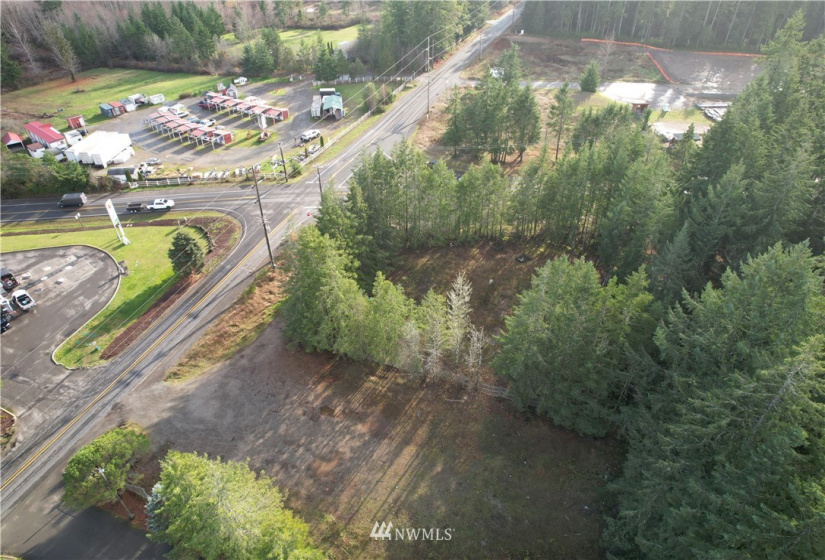 17007 State Route 302, Gig Harbor, Washington 98329, ,Land,For Sale,State Route 302,NWM1874863