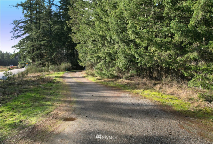 17007 State Route 302, Gig Harbor, Washington 98329, ,Land,For Sale,State Route 302,NWM1874863