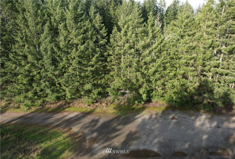17007 State Route 302, Gig Harbor, Washington 98329, ,Land,For Sale,State Route 302,NWM1874863