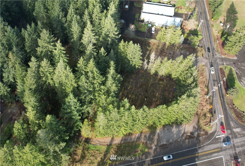 17007 State Route 302, Gig Harbor, Washington 98329, ,Land,For Sale,State Route 302,NWM1874863