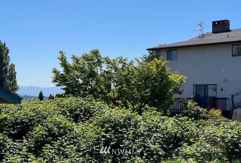 3309 Shorecliff, Tacoma, Washington 98422, ,Land,For Sale,Shorecliff,NWM1874527