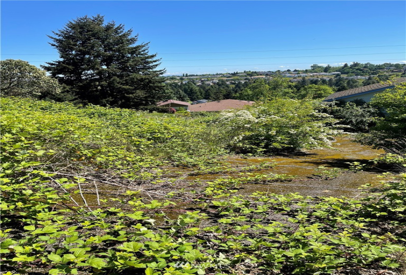 3309 Shorecliff, Tacoma, Washington 98422, ,Land,For Sale,Shorecliff,NWM1874527