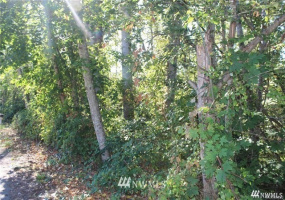 3025 Maplewood, Bellingham, Washington 98225, ,Land,For Sale,Maplewood,NWM1875059