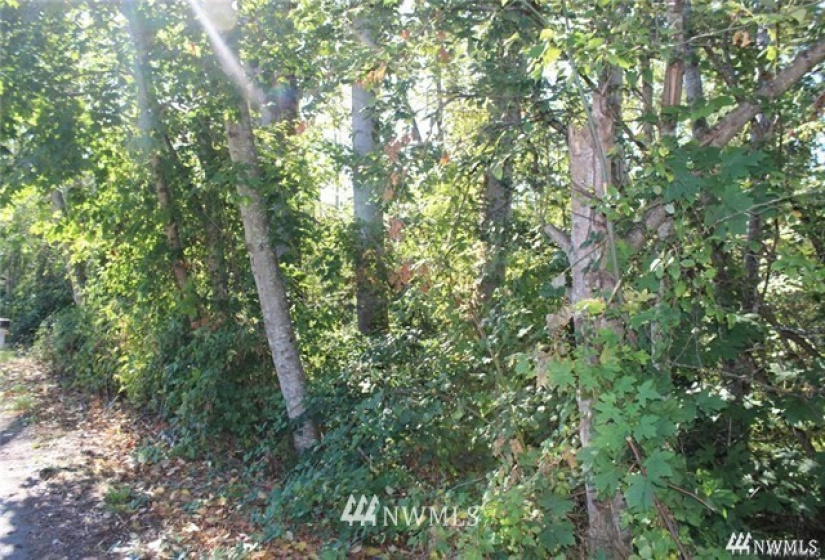3025 Maplewood, Bellingham, Washington 98225, ,Land,For Sale,Maplewood,NWM1875059