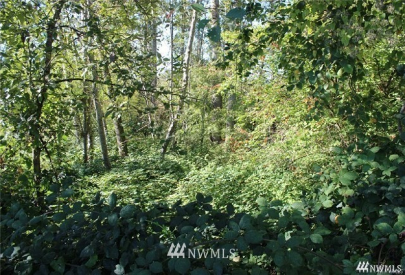 3025 Maplewood, Bellingham, Washington 98225, ,Land,For Sale,Maplewood,NWM1875059