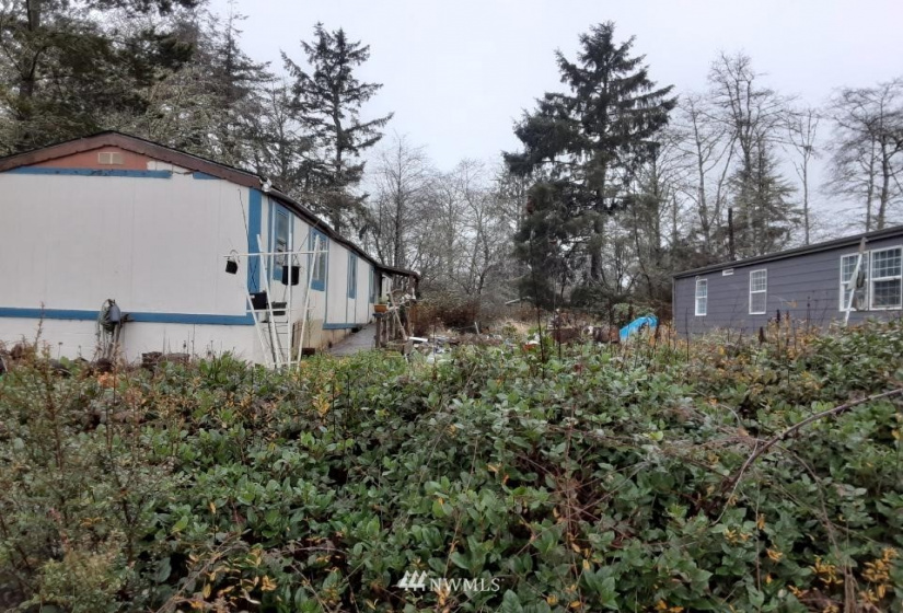 775 Cardinal, Ocean Shores, Washington 98569, 2 Bedrooms Bedrooms, ,2 BathroomsBathrooms,Residential,For Sale,24A,Cardinal,NWM1875026