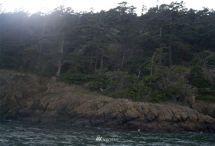 3 Burrows Island, Anacortes, Washington 98221, ,Land,For Sale,Burrows Island,NWM1875012