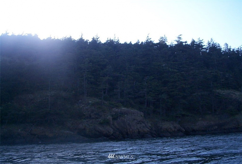 3 Burrows Island, Anacortes, Washington 98221, ,Land,For Sale,Burrows Island,NWM1875012
