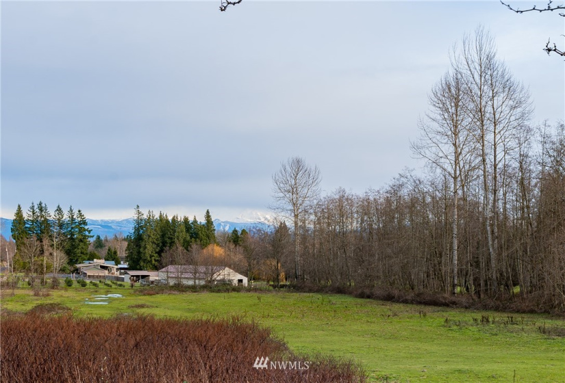 2357 Brown Rd, Ferndale, Washington 98248, 3 Bedrooms Bedrooms, ,1 BathroomBathrooms,Residential,For Sale,Brown Rd,NWM1875169