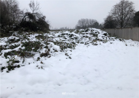 0 XXXX 124th, Sumner, Washington 98390, ,Land,For Sale,124th,NWM1874620